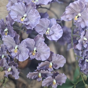 Élethű lila orchidea fekete csónakkaspóban - otthon & életmód - virágdekoráció - virágdíszek - virágdísz kaspóban - Meska.hu