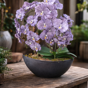 Élethű lila orchidea fekete csónakkaspóban - otthon & életmód - virágdekoráció - virágdíszek - virágdísz kaspóban - Meska.hu