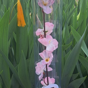 Ballagási ajándék örökvirág tartóban - otthon & életmód - virágdekoráció - virágok - virágbox - Meska.hu