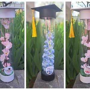 Ballagási ajándék örökvirág tartóban - otthon & életmód - virágdekoráció - virágok - virágbox - Meska.hu