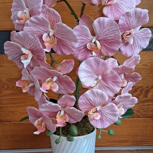 Élethű cirnos rózsaszín orchidea asztaldísz irizáló kaspóban - Meska.hu
