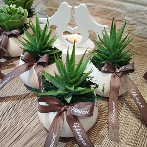 Kis gömbkaspós sírdísz, Aloe, Otthon & Életmód, Vallás, Temetkezési tárgy, , MESKA