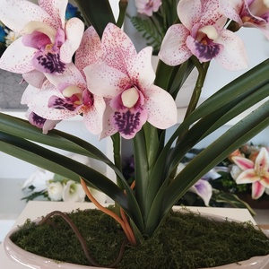 Vzs design csónak kaspós púder Cymbidium - otthon & életmód - dekoráció - asztal és polc dekoráció - asztaldísz - Meska.hu