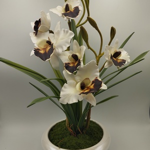 Vzs design kaspós nagyfejű fehér orchidea - Meska.hu
