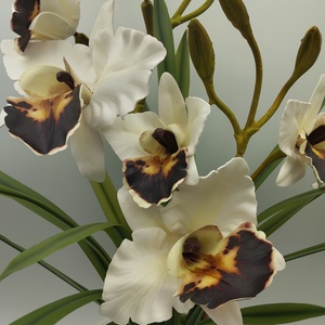 Vzs design kaspós nagyfejű fehér orchidea - otthon & életmód - dekoráció - asztal és polc dekoráció - asztaldísz - Meska.hu