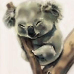 Koala festmény - művészet - grafika & illusztráció - Meska.hu