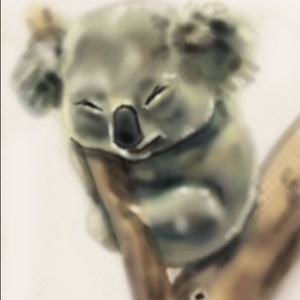 Koala festmény - művészet - grafika & illusztráció - Meska.hu