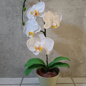 Horgolt orchidea kaspóban , Otthon & Lakás, Dekoráció, Virágdísz és tartó, Csokor & Virágdísz, Horgolás, Varrás, MESKA