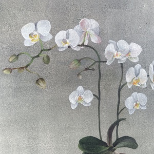 Orchidea festmény  - művészet - festmény - akril - Meska.hu