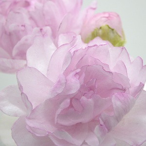 Ostya pünkösdi rózsa - Kézzel készített gyönyörű virágok tortadíszítéshez - esküvő - dekoráció - sütidísz - Meska.hu