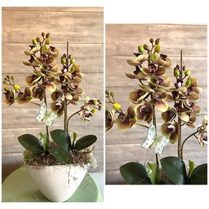 Zöld real touch (mű) orchidea - Meska.hu