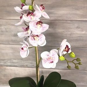 1 ágas real touch (mű) orchidea feldíszítve anyák napjára - otthon & életmód - dekoráció - Meska.hu