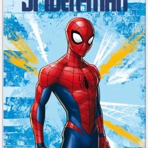 Disney Spiderman, Pókember polár takaró, , , MESKA