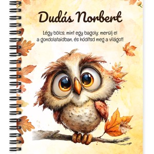 Személyre szabható - Cuki őszi bagoly fiú mintás A6-os füzet, Otthon & Életmód, Papír, írószer, Jegyzetfüzet & Napló, , MESKA