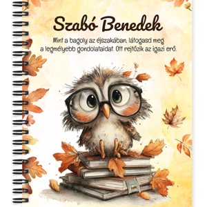 Személyre szabható - Cuki őszi szemüveges bagoly mintás A6-os füzet, Otthon & Életmód, Papír, írószer, Jegyzetfüzet & Napló, , MESKA