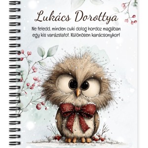 Személyre szabható - Cuki téli bagoly nagy masnival mintás A5-ös füzet, Otthon & Életmód, Papír, írószer, Jegyzetfüzet & Napló, , MESKA
