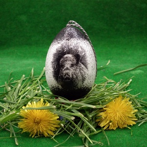  Húsvéti tojás - egyedi locsoló ajándék vadászoknak  ( VADDISZNÓ  )  - férjeknek -barátoknak , Otthon & Életmód, Dekoráció, Dísztárgy, Decoupage, transzfer és szalvétatechnika, MESKA