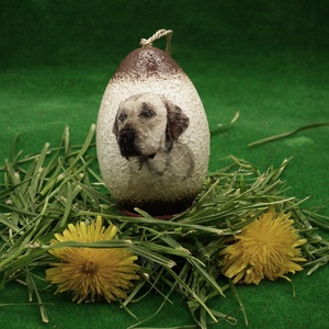  Húsvéti tojás - locsoló ajándék a kutyák szerelmeseinek ( LABRADOR  )   - gyerekeknek -férjeknek -barátoknak , Otthon & Életmód, Dekoráció, Dísztárgy, Decoupage, transzfer és szalvétatechnika, MESKA