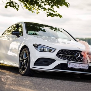 Esküvői autóra egyedi rendszámtábla, Esküvő, Dekoráció, Tábla & Jelzés, Decoupage, transzfer és szalvétatechnika, MESKA