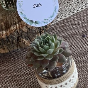 A Szeretet Örök Ígérete: Kézműves Kövirózsa Vendégajándék - esküvő - emlék & ajándék - köszönőajándék - Meska.hu