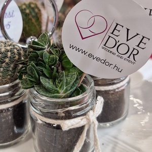 A Szeretet Örök Ígérete: Kézműves Kövirózsa Vendégajándék - esküvő - emlék & ajándék - köszönőajándék - Meska.hu