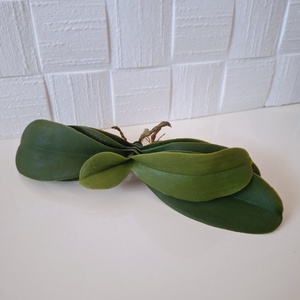 Élethű,gumis orchidea levél III. - Meska.hu