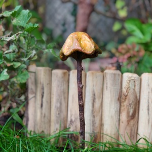 Antik gomba - Meska.hu