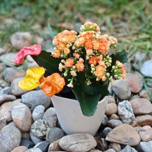 Kicsi gombák, Otthon & Életmód, Ház & Kert, Kerti dísz, Gyurma, Festett tárgyak, MESKA