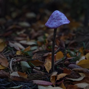 Fényes világos lila gombavirág - otthon & életmód - ház & kert - kerti dísz - Meska.hu