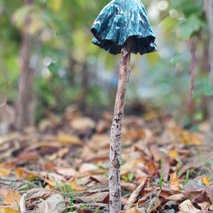 Fenyőfa gombavirág - otthon & életmód - ház & kert - kerti dísz - Meska.hu