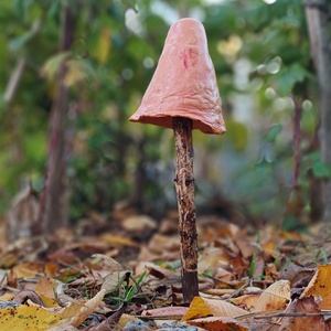 Hamvas barack gombavirág - otthon & életmód - ház & kert - kerti dísz - Meska.hu