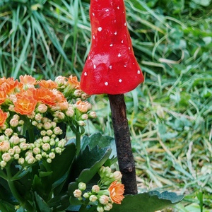 Fényes piros gombavirág - otthon & életmód - ház & kert - kerti dísz - Meska.hu