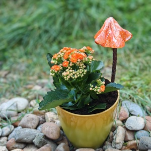 Narancsos szoknyagomba , Otthon & Életmód, Ház & Kert, Kerti dísz, Gyurma, Festett tárgyak, MESKA