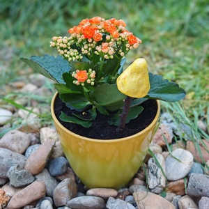 Apró mintás sárga gombavirág - otthon & életmód - ház & kert - kerti dísz - Meska.hu