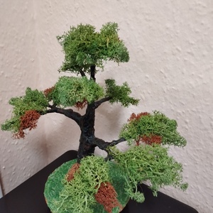 Zuzmós bonsai fa  - otthon & életmód - dekoráció - asztal és polc dekoráció - bonsai - Meska.hu