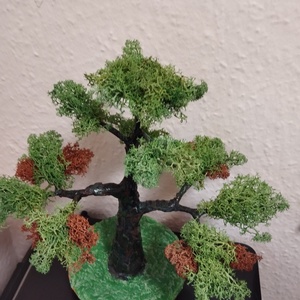 Zuzmós bonsai fa  - otthon & életmód - dekoráció - asztal és polc dekoráció - bonsai - Meska.hu