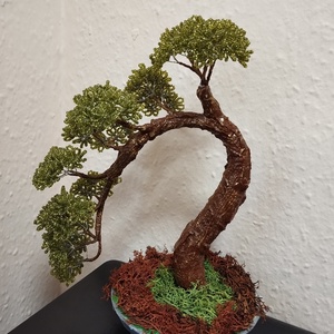 Bonsai gyöngyfa  - Meska.hu Bonsai gyöngyfa  - Meska.hu