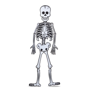 Halloween-i dekoráció - csontváz - habszivacs - 85 x 18 cm, Otthon & Életmód, Dekoráció, Halloween, Halloweeni ajtódíszek és ablakdíszek, , MESKA