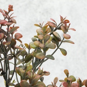 Buxus csokor barna (Selyemvirágok) - otthon & életmód - dekoráció - virágdísz és tartó - csokor & virágdísz - Meska.hu