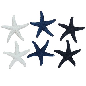 Tengeri csillag csomag 6db/csomag, Kellékek & szerszámok, Vegyes alapanyag, Egyéb alapanyag, Mindenmás, MESKA