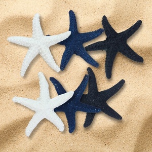 Tengeri csillag csomag 6db/csomag - kellékek & szerszámok - vegyes alapanyag - egyéb alapanyag - Meska.hu