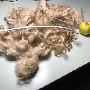 nyírt, mosott natúr göndör gyapjú - diy (csináld magad) - egységcsomag - Meska.hu
