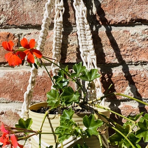 Makramé virágtartó - otthon & életmód - dekoráció - Meska.hu