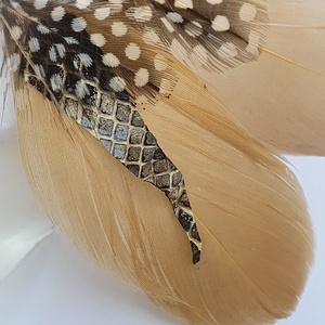 Drapp gyöngytyúk tollas női  fülbevaló drapp kígyóbőrrel - ékszer - fülbevaló - lógó fülbevaló - Meska.hu