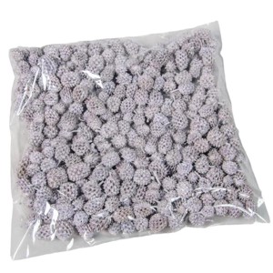 Casuarina 17 dkg - falfestékes lila, Kellékek & szerszámok, Dekorációs kellékek, Termések, terméscsomagok, , MESKA