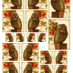 Kuvik - nyomtatható decoupage képek  - kellékek & szerszámok - papír - dekorációs papír - Meska.hu