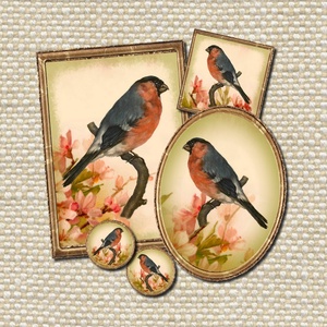 Süvöltő - nyomtatható decoupage papír  - kellékek & szerszámok - papír - Meska.hu