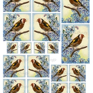 Tengelic nefelejcsekkel - nyomtatható decoupage-képek  - kellékek & szerszámok - papír - Meska.hu