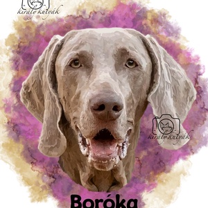 Digitális Állatportré � Egyedi portré a kedvencedről - művészet - grafika & illusztráció - digitális - Meska.hu