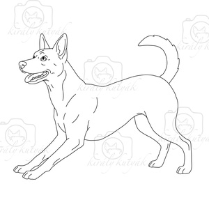 Digitális Oktatási Line Art Illusztráció Csomag, Művészet, Grafika & Illusztráció, Digitális, , MESKA